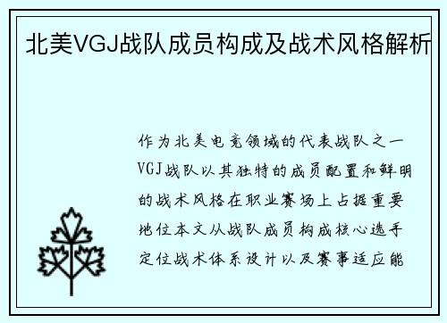 北美VGJ战队成员构成及战术风格解析